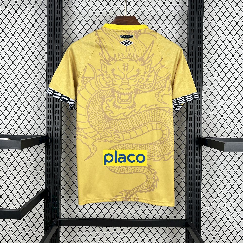 MAILLOT CONCEPT SANTOS 2025/2026